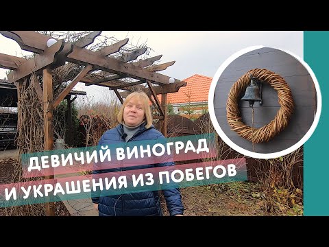 Видео: Необичайни употреби на обикновена захар