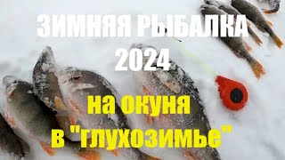 Зимняя рыбалка 2024. На окуня в &quot;глухозимье&quot;.