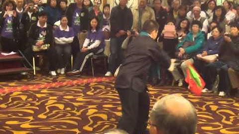 Master James Fu Qing Quan - Yang style Tai Chi Sab