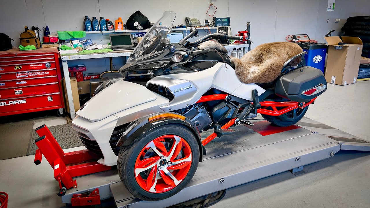 Stunning 2015 F3S!! • Front Sprocket Inspection..! TheSmoaks Vlog