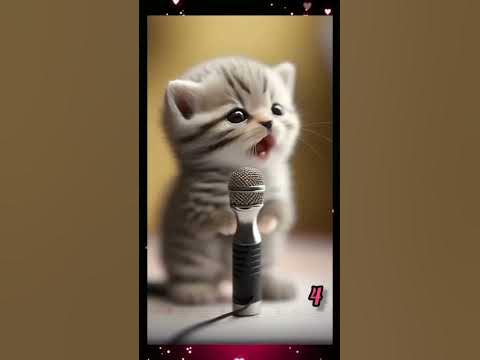 Адемi мысыктар#мысык#мышык - YouTube