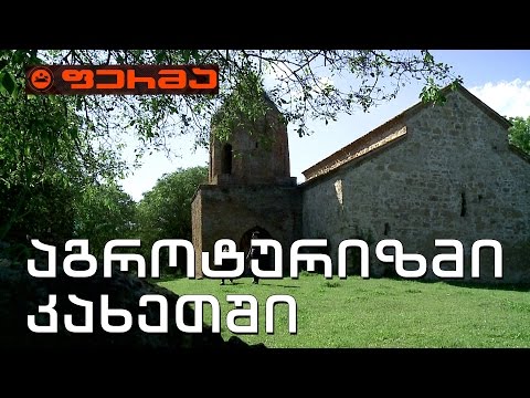 ფერმა - უძველესი ქვევრები და ორასწლოვანი საწნახელი