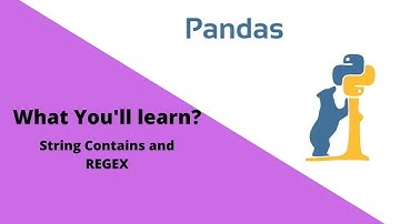 String Contains and REGEX | Pandas Tutorial 30.0