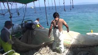 Time of Travel : Japanese Anchovy Fishery in Ibukijima Island Part 2 (Kagawa, Japan)