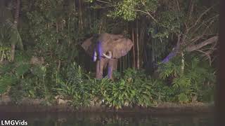 Jungle cruise ride at disneyland park 2019 night. just a video showing
how much more different actually is when ridden night instead of t...