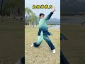Power of tai chitaichi taijiquan kungfu wushu shorts