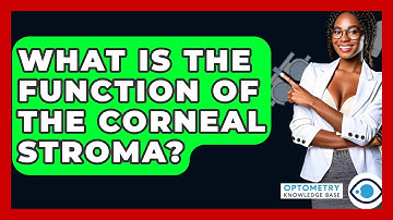 What Is The Function Of The Corneal Stroma? - Optometry Knowledge Base