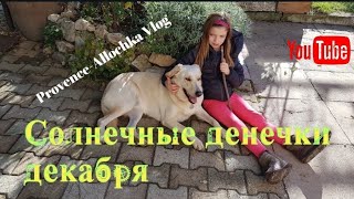 : , /    /     /provenceallochka vlog