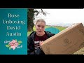 Unboxing david austin rosesbring me sunshineelizabeth ausmajestyconstance spry ausfirst