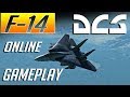 DCS: F-14 Tomcat Online Gameplay