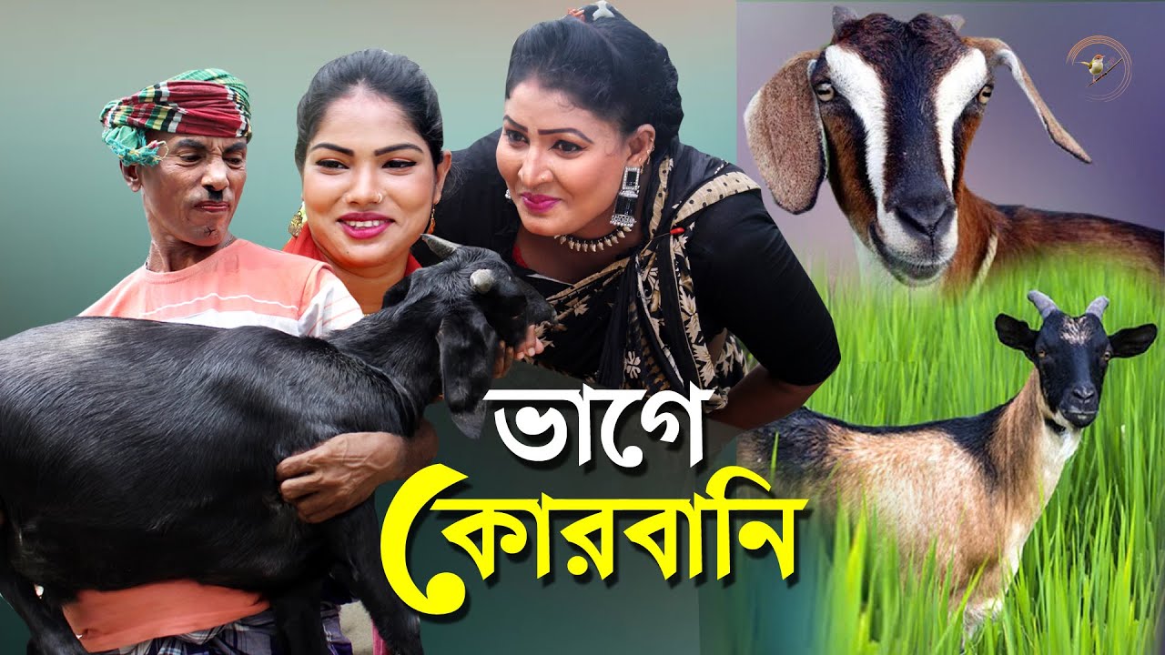 Porno dunyodagi eng gozal Uxlayotgan odamlar bilan sikish