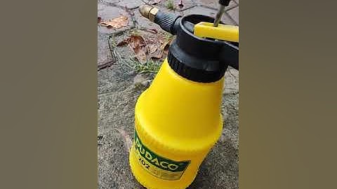 siêu tẩy nấm mốc. khử trùng khử khuẩn rêu tảo hồ bơi. phun ngừa covid