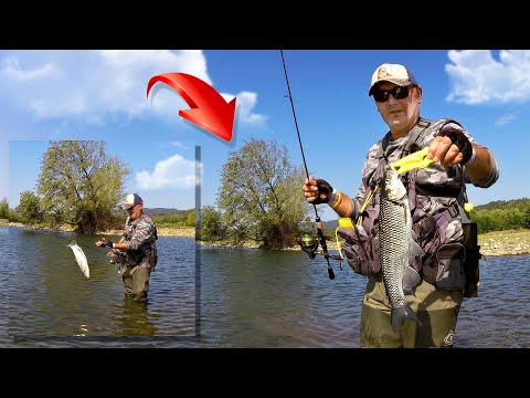 ''შემოდგომის ქაშაპის ძიებაში''