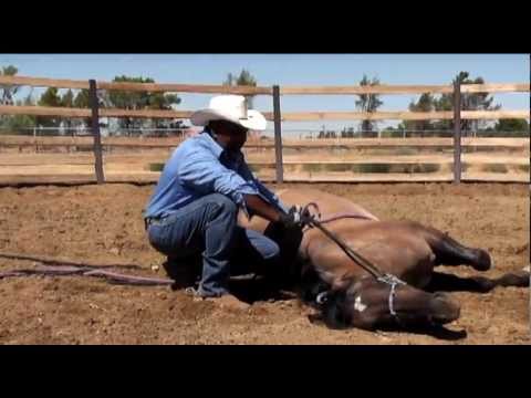 How to Lay Down a Horse: For Wild, Aggressive or 