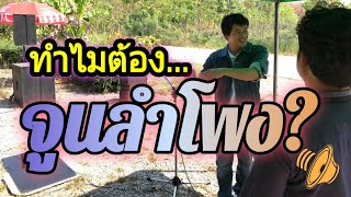 ทำไมต้อง จูนลำโพง? | ลำโพงแบบไหนที่ต้องจูน จูนแล้วได้อะไร / วิธีเลือก DSP ให้เหมาะกับระบบเสียง