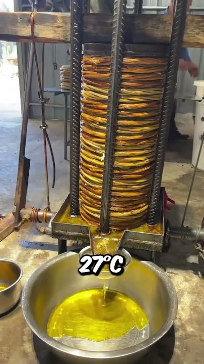 How Olive Oil Is Made The Traditional Way (@chinaframer)