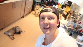 Evening Routine with a Puppy (E08) #12weekpuppychallenge by Social Puppy 15,494 views 5 years ago 5 minutes, 42 seconds