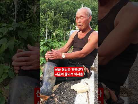 인천살다 <strong>산골</strong> 땅좀사서 텃밭농사 좀해 ᆢ