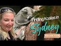 P3 | Finding Kangaroos and Koalas at Sydney Zoo | G Adventures Australia | Natasha Atlas