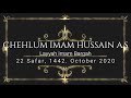 Chehlum imam hussain as 22 safar 2020 layyah jaloos matamdari zanjeer zani