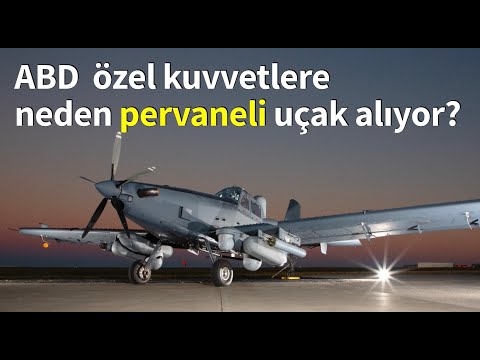 Video: İlk yerli uçak: Gakkel'in yüz yıllık uçağı