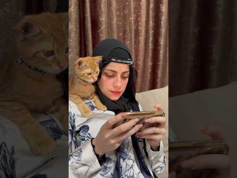 البنت الغبية والقطه هههه ام سيف ونانو