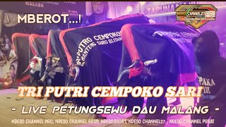 Full Mberot Full Sawer❗Putro Cempoko Sari ❌ Taruna Manunggal Live Petungsewu Dau Malang 2024