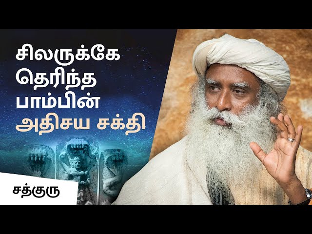 உள்ளுணர்வுகள் உண்மையா? | Are Intuitions Always Right? | Instinct Vs Intuition | Sadhguru Tamil class=