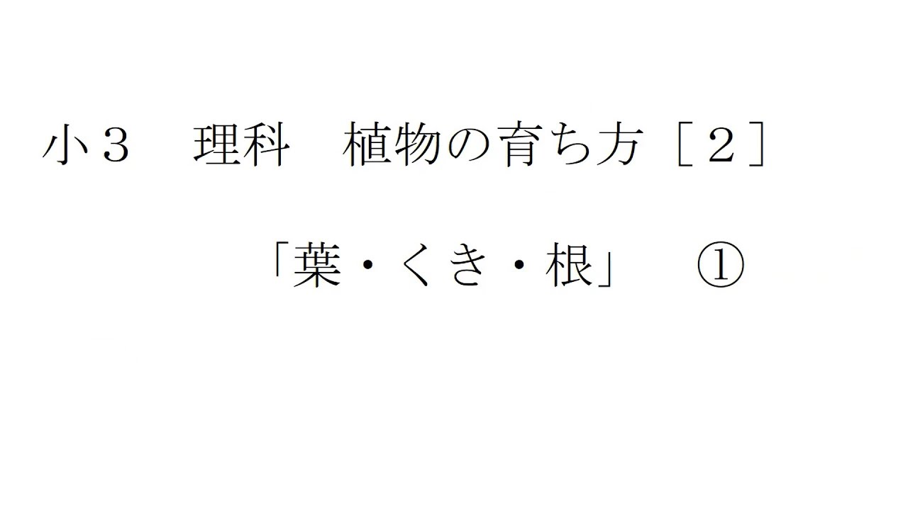 小３理科 植物の育ち方 ２ 葉 くき 根 Youtube