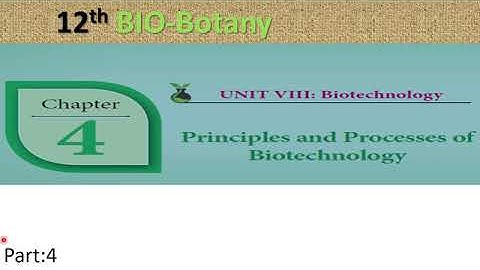 V-4...12th Bio -Botany Chapter:4 Principles and processes of biotechnology -Vectors