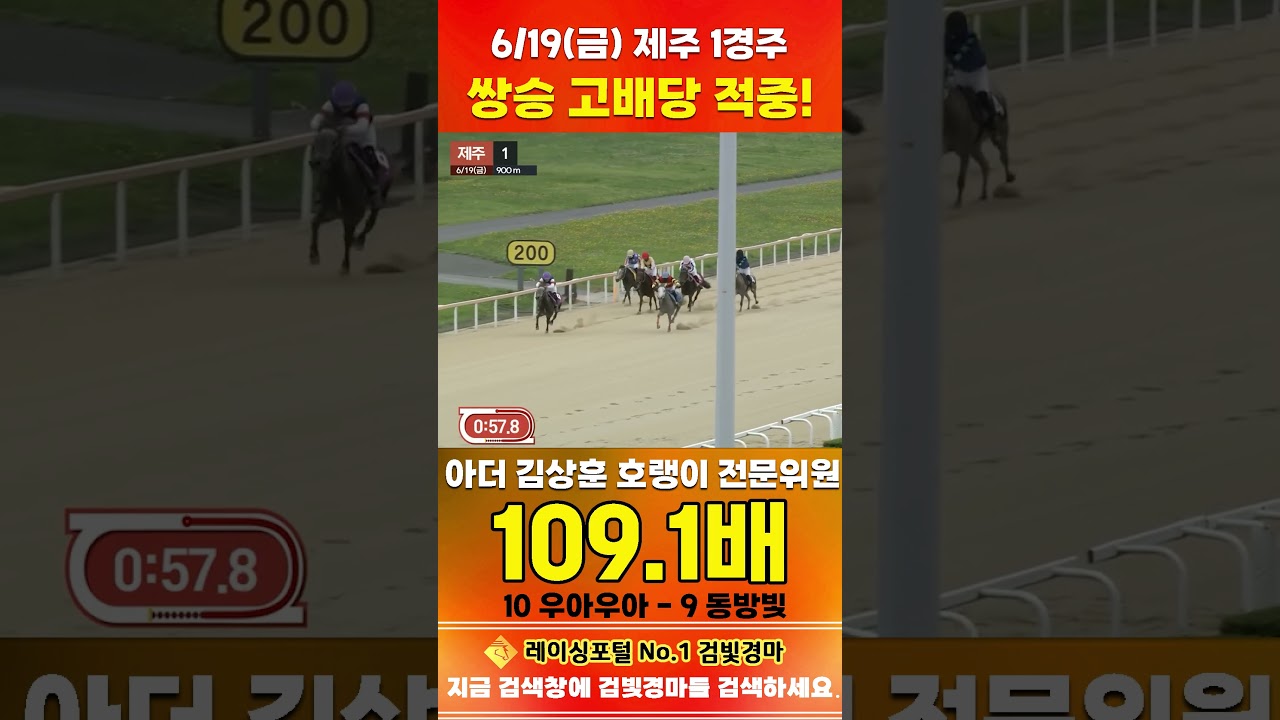 [제주 경마] 6월 19일 금요 1경주 아더 김상훈 호랭이 전문위원 쌍승 고배당 적중 #하이라이트 #horse #경마 #automobile #한국마사회 #riding #뉴스 #게임