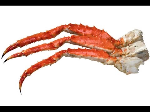 King Crab Legs for Sale | How to choose Alaskan  King Crab Legs?