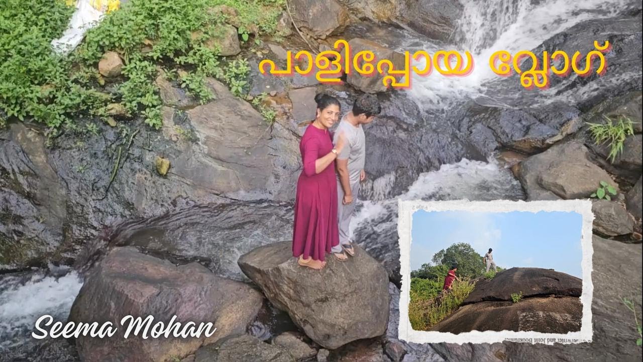 Paalipoya Vlog / പാളിപ്പോയ വ്ലോഗ് 😂🤭/@Seemamohan970 #funny #familyvlog #snacks