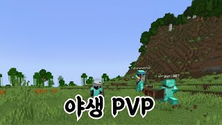 야생 PVP