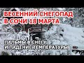 На Сочи обрушился весенний снегопад. Снег в Краснодарском крае: на курорте грядут морозы | 18 марта