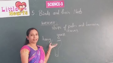 CLASS 3 SCIENCE   LESSON 5 BIRDS AND THEIR NESTS PART 3  ONLINE VIDEO