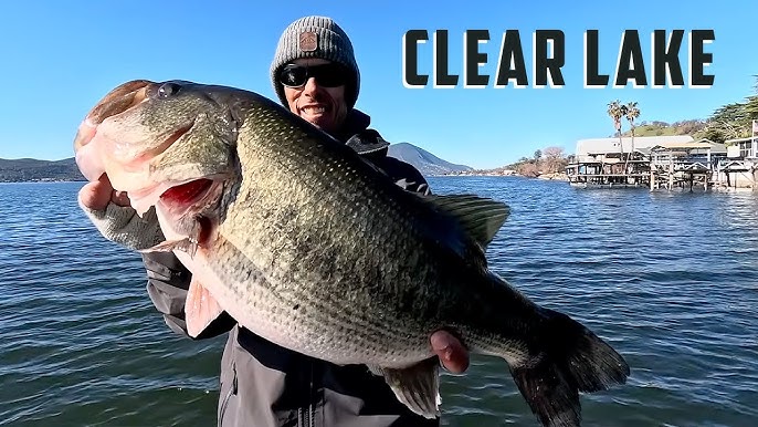 Clear Lake Bass Fishing: Ultimate Guide for Trophy Catch Success