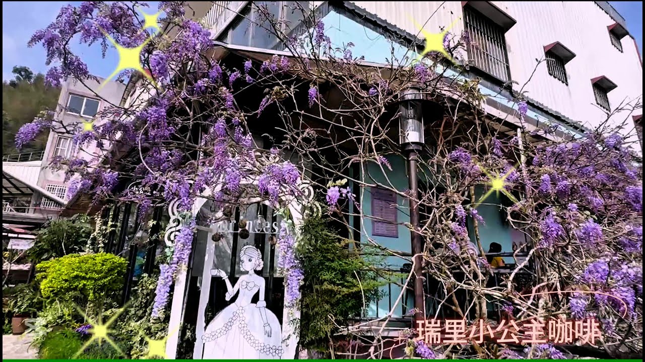 觀察者旅讀夢幻春日紫藤綻放！2025嘉義瑞里紫藤花季- YouTube