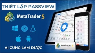 Cách tạo PASSVIEW (mật khẩu đầu tư- passwword investor) MT5