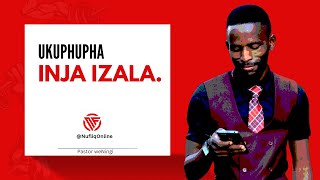 Ukuphupha inja izala | @pastorweningi