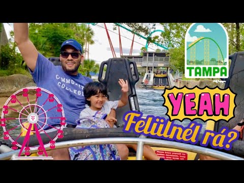 Videó: Busch Gardens Tampa – Nagy vidámpark és állatkert