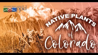 Native Plants Of Colorado