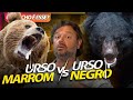 URSO KODIAK VS URSO NEGRO, GIGANTES FEROZES! | RICHARD RASMUSSEN