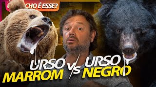 URSO KODIAK VS URSO NEGRO, GIGANTES FEROZES! | RICHARD RASMUSSEN