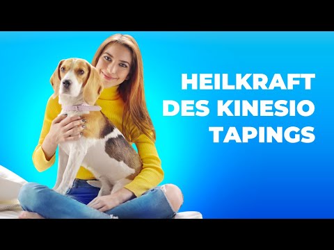 Video: Die Heilkraft des Hundes