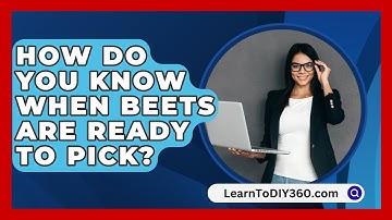 How Do You Know When Beets Are Ready To Pick? - LearnToDIY360.com
