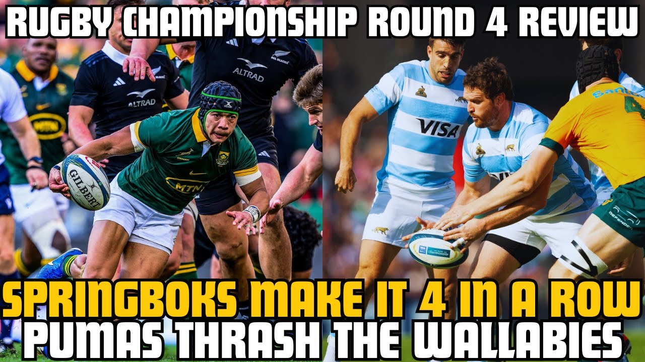 SPRINGBOKS WIN FREEDOM CUP| WALLABIES GETS DESTROYED | RUGBY ...