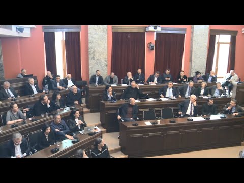 „დაიგინები? შეიგინები“? „მე ვარ ველური და ევროპა არ მინდა ხო“? - დაპირისპიება აგენტების კანონონზე