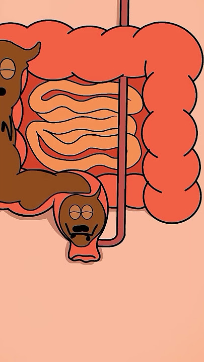 The Animation 18 #animation #shotrs