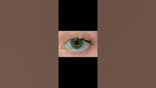 𝙙𝙞𝙥 - 𝙏𝙮𝙜𝙖 (𝙨𝙥𝙚𝙚𝙙 𝙪𝙥)